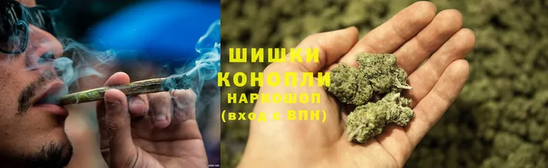 Шишки марихуана Ganja  Мышкин 